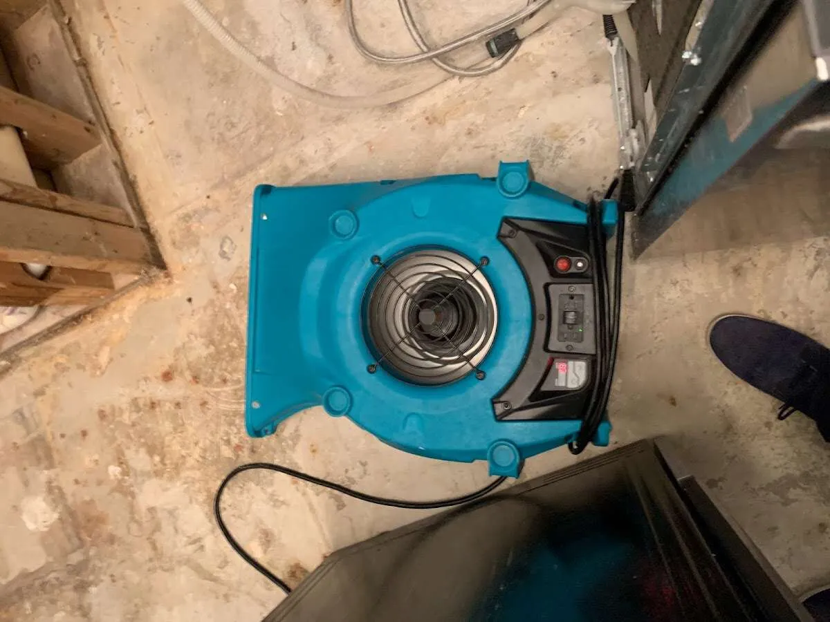 Air mover drying equipment for Mold Remediation & Removal in Riverview